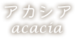 アカシア